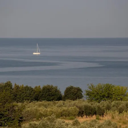 Apartment Zuri-sea Wiev Zambratija (Istria)