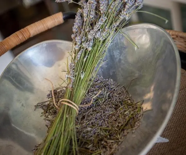 Lägenhet Zuri-sea Wiev Zambratija (Istria)